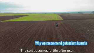Boost Crop Yields with Potassium Humate Organic Fertilizer